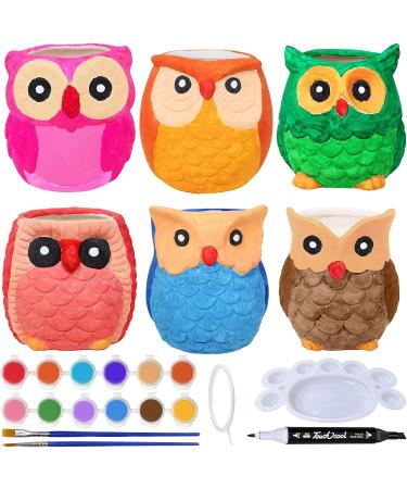 DIY Ceramic Owl Succulent Pots Paint Craft Kit - Set of 6 | Unpainted Bisque Ceramic Flowerpots for Kids Classroom Activities - Buy Online on GoSupps.com