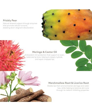 S'ABLE Labs - Moringa Lip Salve | Deeply Moisturize Soften Improve Lip Appearance | Prickly Pear + Castor Oil | Melanin-Inclusive Skincare (15 mL | 0.5 fl oz) Clear - Original - Buy Online on GoSupps.com