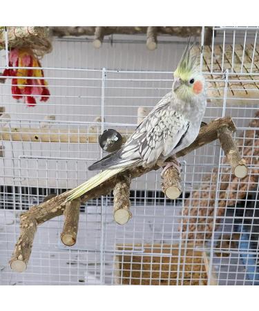 2 Pack Natural Prickly Ash Wood Bird Ladder & Perch Stand - Cage Accessories for Parakeet, Cockatiel, Rats, Hamsters - Climbing, Chewing Toys - Buy Online on GoSupps.com