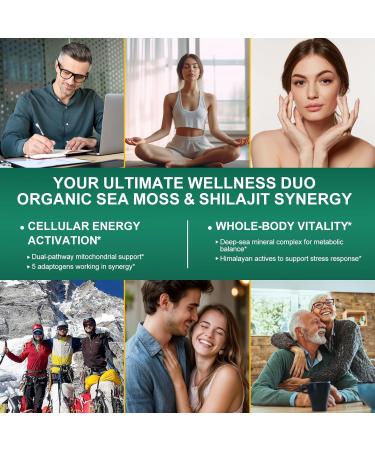 Bualle Sea Moss and Shilajit Bundle-Sea Moss 300mg,Black Seed Oil 100mg,Ashwagandha 50mg,Ginger & Shilajit 300mg,Rhodiola Rosea 100mg,Panax Ginseng 50mg,All in 1 Supplements-USA Made(2 Pack) 60 Count (Pack of 2) Sea Moss Sh  - Buy Online on GoSupps.com
