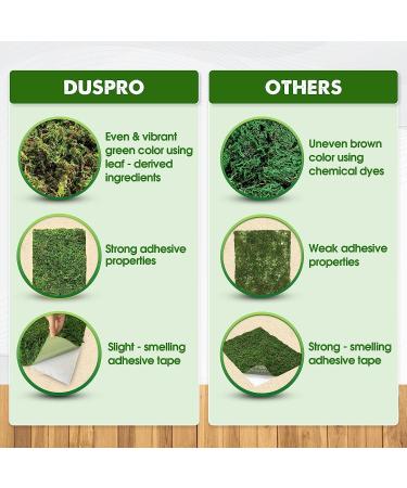DUSPRO Moss Mat 2Pcs - Self Stick Moss for Crafts & Decor - 13x9.5 Inches - Ideal for Moss Wall Decor & Wedding Party - Green Sheet Moss - Buy Online on GoSupps.com