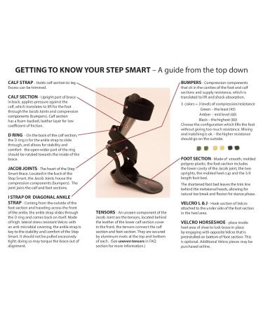 Step-Smart Brace for Drop Foot - Right Foot - Large/X-Large | Made in USA by Insightful Products - Buy Online on GoSupps.com