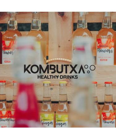 ECOLOGICAL DRINK KOMBUTXA TE KOMBUCHA - 6 bottles 750ml Organic fermented tea ecological energy fat burning without added sug - Buy Online on GoSupps.com