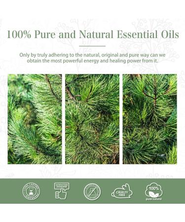 Pine Needles Essential Oil 30ML - 100% Pure Therapeutic Grade Natural Oil for Diffusers | Aromatherapy for Relaxation | 1 Pack - Buy Online on GoSupps.com