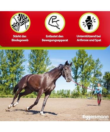 Buy EGGERSMANN My Horse Feed Professional Joint Active 1 kg - Supplementary Feed for Tendons & Joints - Supports Natural Vitality & Joy of Movement for Horses & Ponies - Buy Online on GoSupps.com