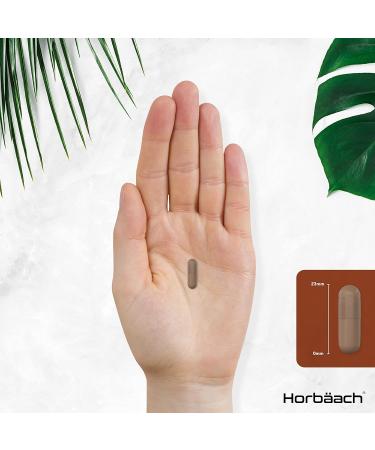 Reishi Mushroom Capsules 10,000mg - 100 High Strength Powder Capsules | Horbaach - Buy Online on GoSupps.com