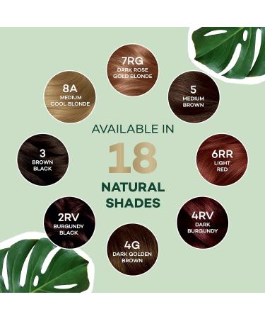 Clairol Natural Instincts Semi-Permanent No Ammonia Hair Dye 5G Medium Golden Brown - 1 Count - Buy Online on GoSupps.com