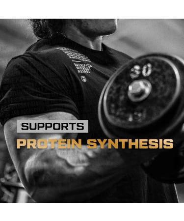 HOSSTILE Glutamine Fermented L Glutamine Powder for Men & Women Enhance Muscle Recovery Support Protein Synthesis Post Workout Recovery Drink Unflavored 60 Servings - Buy Online on GoSupps.com