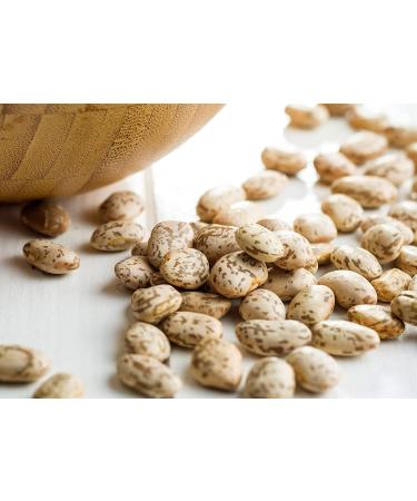Pinto Beans 10 Pounds - Non-GMO | Dried & Sproutable | Vegan & Kosher | Protein & Folate-Rich | Ideal for Soups, Chili & Stews - Buy Online on GoSupps.com