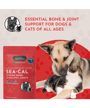Animal Essentials Seaweed Calcium Supplement for Dogs & Cats 12 oz (2-Pack) Iceland Seaweed Magnesium Boron Zinc 12 Ounce (Pack of 2) - Buy Online on GoSupps.com