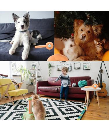 BNFGD 1Pcs Pet Hair Cleaner Brush Cute Cat Brush Dog Brush Pet Combing Brush Pet Combing Brush with Hair Removal Button Artifact for Stroking Cats and Dogs Pet Hair Cleaner Brush(Orange) - Buy Online on GoSupps.com
