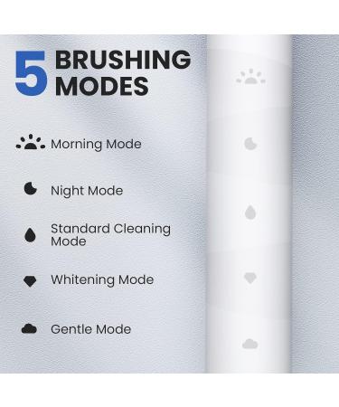 Oclean Electric Toothbrush for Adults - Sonic Soft Gum Care Whitening 180 Days Battery Life IPX7 Waterproof USB C Rechargeable - Buy Online on GoSupps.com