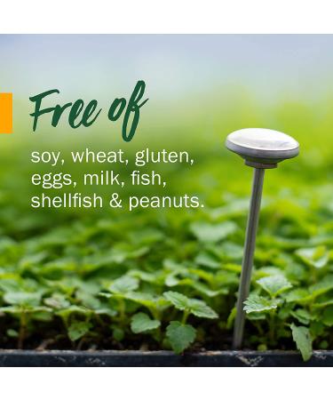 Herb Pharm Kids Black Elderberry Alcohol Free - Immune Support 1 fl oz (30 ml) - Buy Online on GoSupps.com