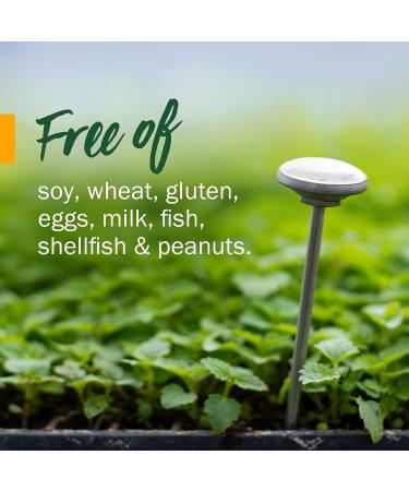 Herb Pharm Certified Organic Motherwort Liquid Extract for Endocrine System Support - 4 Ounce 4 Fl Oz (Pack of 1) - Buy Online on GoSupps.com