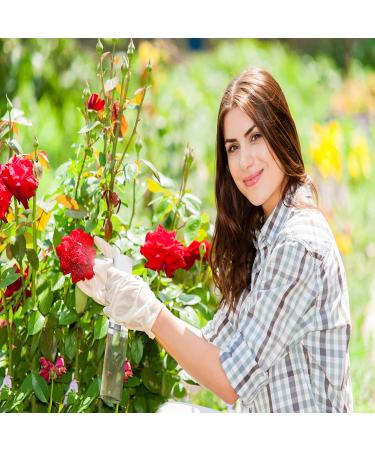 MINGXIAN 2 Pcs 10 OZ Hair Mist Sprayer - Hair Spray Bottles for Styling and Cleaning - Perfect for Gardening - Buy Online on GoSupps.com