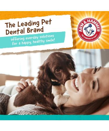 Arm & Hammer Twisters Fresh Breath Dental Treats for Medium Dogs - 8 Mint Flavors - Buy Online on GoSupps.com