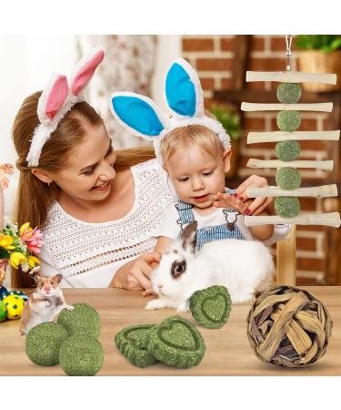 Erkoon Rabbit Chew Toys - 11-Piece Natural Apple Wood & Timothy Hay Set for Bunnies Chinchillas & Guinea Pigs - Dental Care & Fun! - Buy Online on GoSupps.com