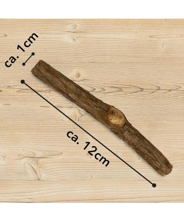 Leo Lwenkatz Matatabi Set - Dried Matatabi Fruits (30g) & 5 Catnip Sticks for Cats - Best for Cat Wellness & Play - Buy Online on GoSupps.com