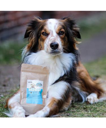 Sollis Digestive Herbs for Dogs | Natural Herbal Digestive Aid Powder | 100% Natural | Supports Gastrointestinal Health & Digestive Comfort | 100g - Buy Online on GoSupps.com