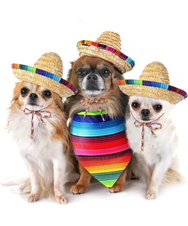 Dog Sombrero Hat & Bandana Set for Cinco De Mayo Fiesta - Multicolor Straw Mexican Hat and Pet Triangle Bib Costume - Buy Online on GoSupps.com