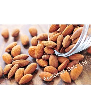 1kg Almonds - Californian Natural Whole - Nonpareil Premium Quality - Buy Online on GoSupps.com