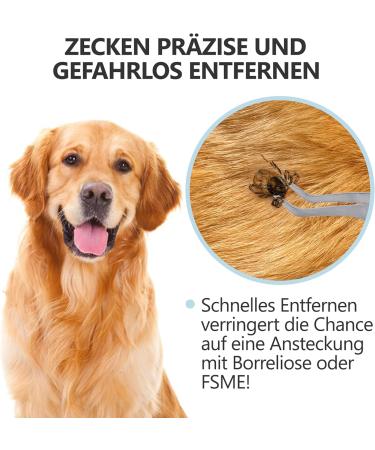 Helperfect Premium 2-in-1 Stainless Steel Tick Pliers for Dogs & Cats - Gentle & Effective Tick Remover with Tweezers & Hooks - Perfect for Pet Owners - Light Blue - Buy Online on GoSupps.com