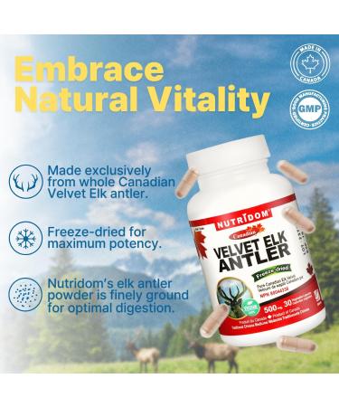 Nutridom Velvet Elk Antler 500 mg 100% Canadian Freeze-Dried Non-GMO NO Additives Gluten Free Made in Canada (30 Veggie capsules) - Buy Online on GoSupps.com