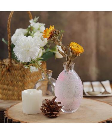 Craft and Party  Craft Glitter for Craft and Decoration 1 Pound Bottled (Ultra Fine - 1/128"  0.008"  0.2mm  Light Pink) Ultra Fine - 1/128"  0.008"  0.2mm Light Pink - Buy Online on GoSupps.com