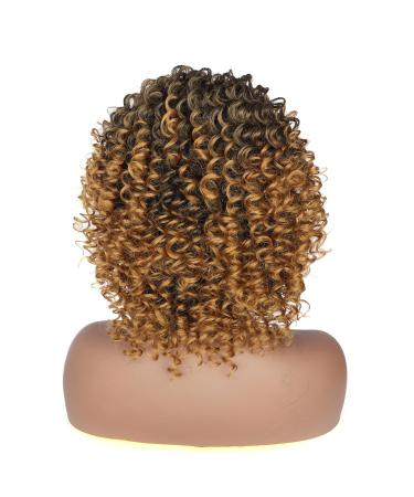 Porsmeer Ombre Blonde Curly Afro Wig - 14 Kinky Curly Bob for Women - Natural Art Hair with Ponytail - Volume for Black Women - Buy Online on GoSupps.com