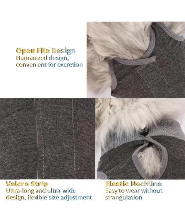 CLLRYBO Katzenbody for Cats - Post-Surgery Recovery Surgical Shirt | Gray Small Size | International Shipping - Buy Online on GoSupps.com