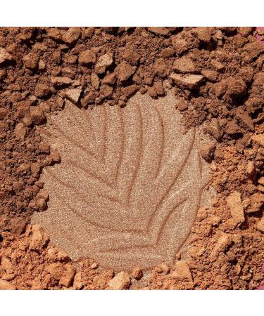 WET N WILD Color Icon Bronzer - What Shady Beaches | Buy Internationally Flawless Glow - Buy Online on GoSupps.com