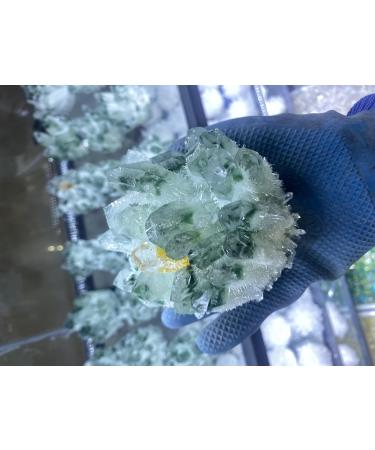 Gift for Family Novelty Natural Quartz Crystal Purple Ghost Cluster Specimen Cluster Clear Quartz Cluster Lucky Stone Home Goods (Color : 8 Size : 400-500g) 400-500g 8 - Buy Online on GoSupps.com