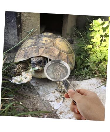 BESPORTBLE 4 Pcs Reptile Sand Shovel Filtering Sand Shovel Sand Filtering Mesh Reptichip Silver Barbed Wire 20X7X3CMx2pcs Silverx2pcs - Buy Online on GoSupps.com