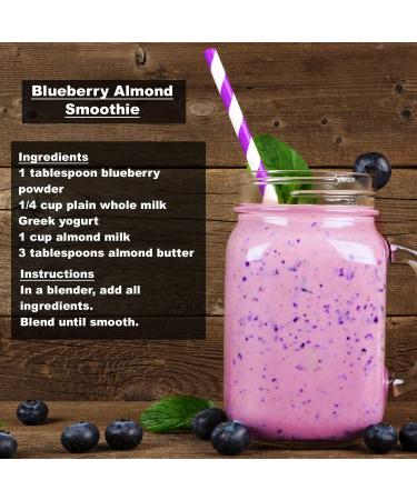 Organic Wild Blueberry Powder | High Antioxidant | Canada Grade-A Blueberries | 8 oz - Ideal for Smoothies, Snacks & Baking - Buy Online on GoSupps.com