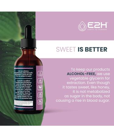 E2H Elderberry Syrup - Powerfull Antioxidants Supplement from Organic Elderberries Extract - Sambucus Elderberry Syrup for Kids & Adults for Immune Support - Non-GMO Vegan - 2 Fl Oz 2 Fl Oz (Pack of 1) - Buy Online on GoSupps.com