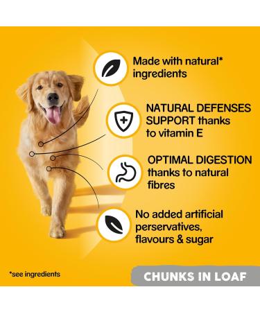 Pedigree Gelatin with Beef Wet Dog Food 24 cans of 400 g - Buy Online on GoSupps.com