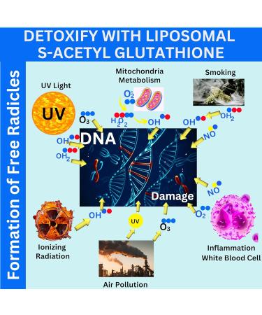 Nikoni Liposomal S-Acetyl L-Glutathione Resveratrol, Hyaluronic Acid & Collagen 500 mg-480 Softgels 480 Softgelss - Buy Online on GoSupps.com