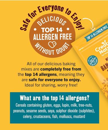 Creative Nature Banana Bread Vegan Cake Mix - Gluten Free, Nut Free, Dairy Free | Top 14 Allergen Free | 6 Pack, 6 Count - Perfect for Allergy-Friendly Baking - Buy Online on GoSupps.com