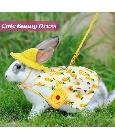 Pet Rabbit Bunny Easter Costume Set with Leash, Hat, and Mini Bag - Pineapple and Cherry Design | Small Animals Accessory for Rabbit, Hedgehog, Ferret, Guinea Pigs, Squirrel - Buy Online on GoSupps.com