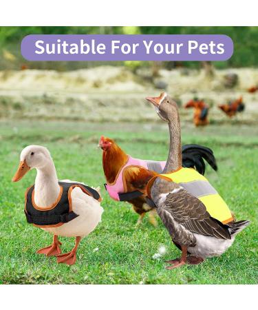 Vehipa 3 Pcs Reflective Chicken Vest Set - Adjustable Harness for Poultry - Feather Protection for Hen, Geese, Duck - Buy Online on GoSupps.com