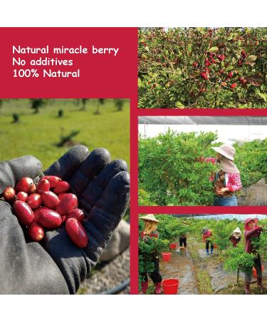 15-Pack Ohh! Berry Miracle Berries - Transform Sour to Sweet, Natural Freeze-Dried Fruits, Reduce Sugar Intake, No Preservatives - Buy Online on GoSupps.com