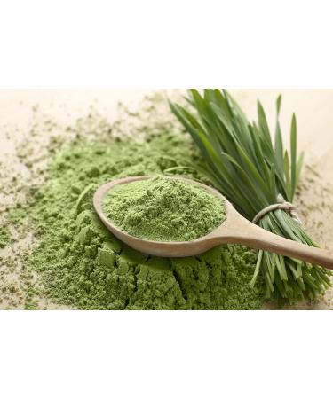 Spintz Organic Barley Grass & Turmeric Powder - 100% Natural Vegan Dietary Supplement | Plastic-Free Packaging (500g) - Buy Online on GoSupps.com