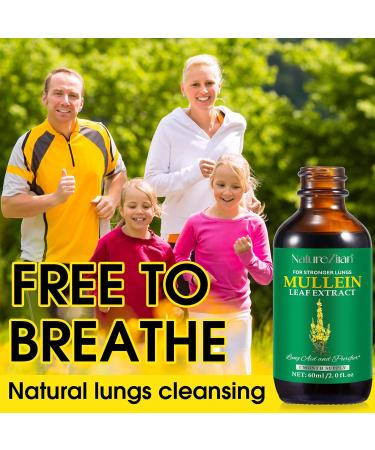 Mullein Drops for Lungs - Lung Detox & Cleanse | Mullein Leaf Extract - 2 fl oz - Buy Online on GoSupps.com