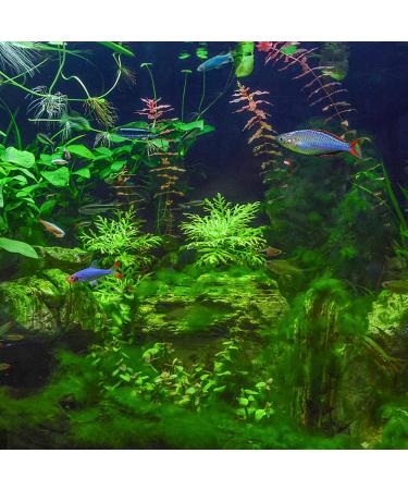 Buy Forhome Aquarium Filter Sponge - 2m Filter Mat & Thickened Biochemical Filter Pads for Pond & Aquarium Overseas Shipping - Buy Online on GoSupps.com