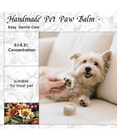 HIQILI 100ML Lemon Eucalyptus Essential Oil & 30ML Spring Eternal Fragrance Oil for DIY Diffuser - Buy Online on GoSupps.com