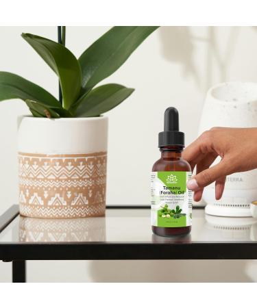 Relaxcation Tamanu Oil | Cold Pressed Natural Oil for Skin Hair & Nails | Unrefined Botanical | Vegan Hexane Free Amber Glass Dropper (4 oz) 4 Fl Oz (Pack of 1) - Buy Online on GoSupps.com