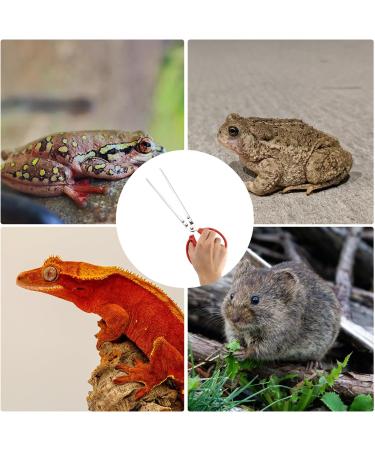 BOXOB Reptile Feeding Tongs 15 Inch Extra Long Snake Feeding Tongs Non-Skidding Easy-Grip Tweezers Accessory for Terrarium Reptile Vivarium Corn Ball Python Axolotl Bearded Dragon Supplies - Buy Online on GoSupps.com