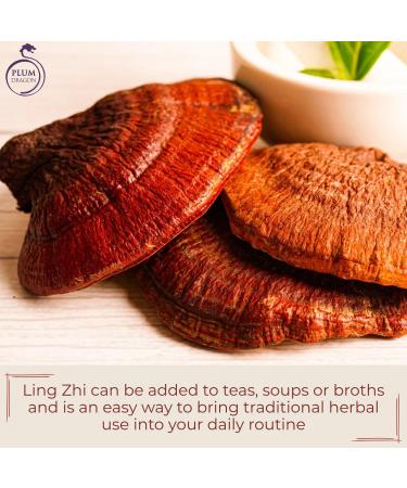 Plum Dragon Ling Zhi | Reishi Mushroom - 1lb - Buy Online on GoSupps.com