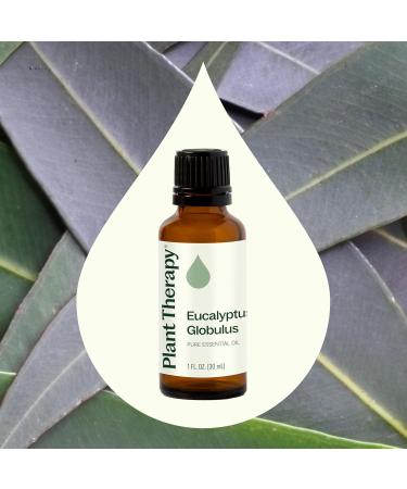Plant Therapy Eucalyptus Globulus Essential Oil 30 mL (1 oz) for Diffuser Skin Hair Aromatherapy DIYs and Clear Breathing 100% Pure Undiluted Therapeutic Grade - Buy Online on GoSupps.com