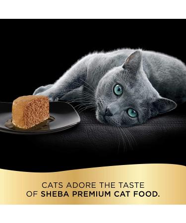 Sheba Perfect Portions Patأ© Wet Cat Food - 24 Twin-Packs for Easy Feeding - Buy Online on GoSupps.com